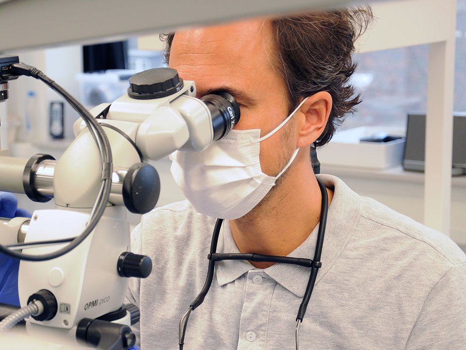 Tandarts werkt met de Zeiss-microscoop